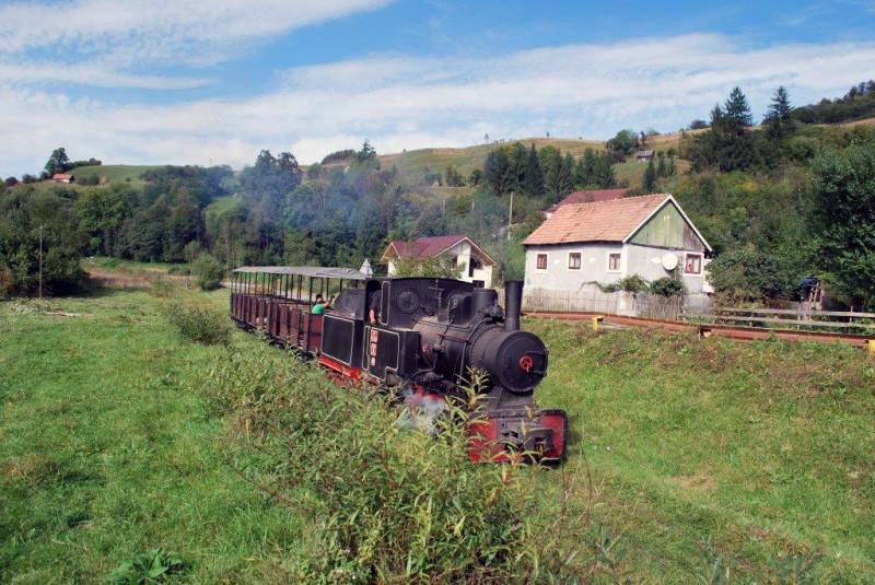 A gőzmozdony vontatta, keskeny nyomtávú vonatok hétvégenként szállítják a turistákat a környéken •  Fotó: APUSENI INFO
