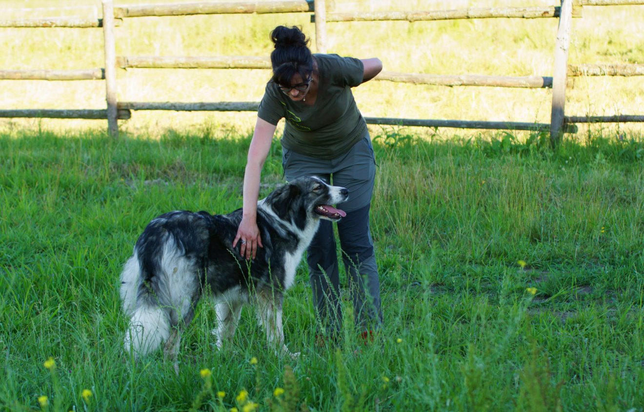 •  Fotó: Conservation Carpathia Alapítvány
