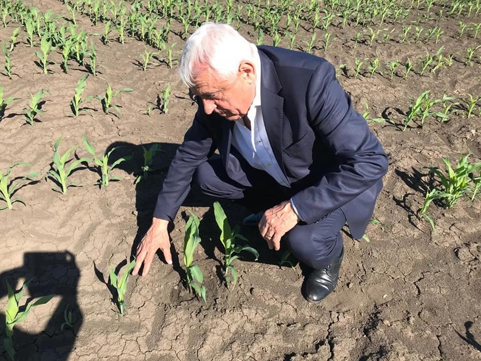 Petre Daea miniszter tíz megyében vizsgálta meg az aszálykárokat •  Fotó: Petre Daea/Facebook