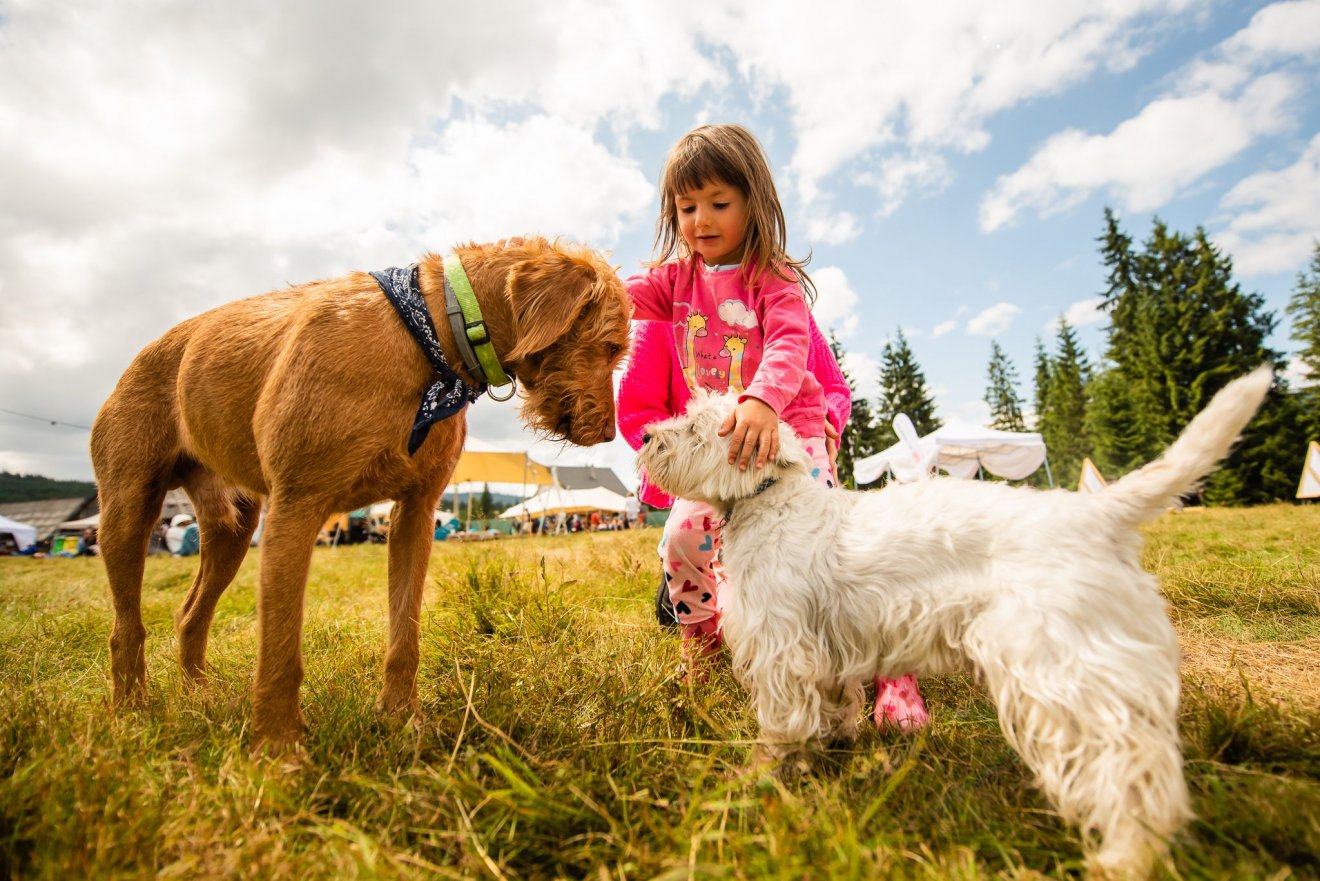 •  Fotó: Szmida Jazzfesztivál