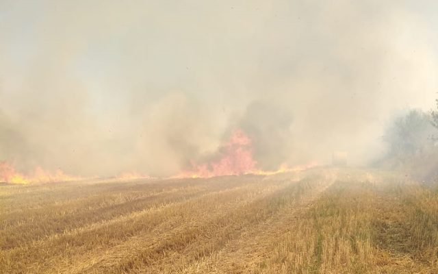 •  Fotó: ISU Alba