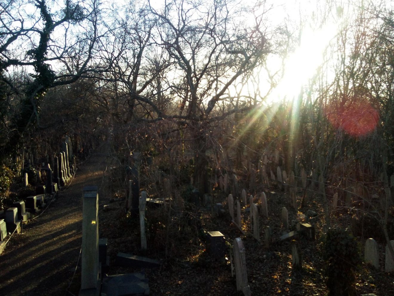 Az izraelita temető •  Fotó: Szökőcs Zsófia