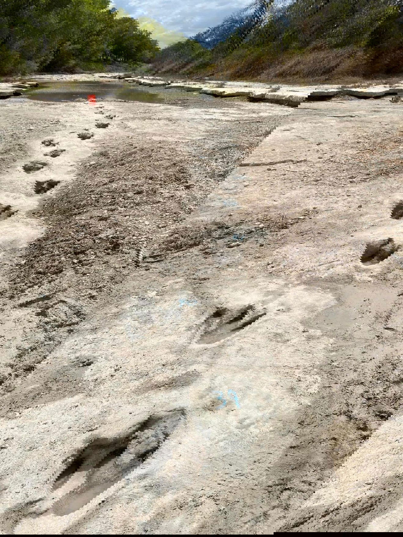 •  Fotó: Facebook/ Dinosaur Valley State Park - Friends﻿