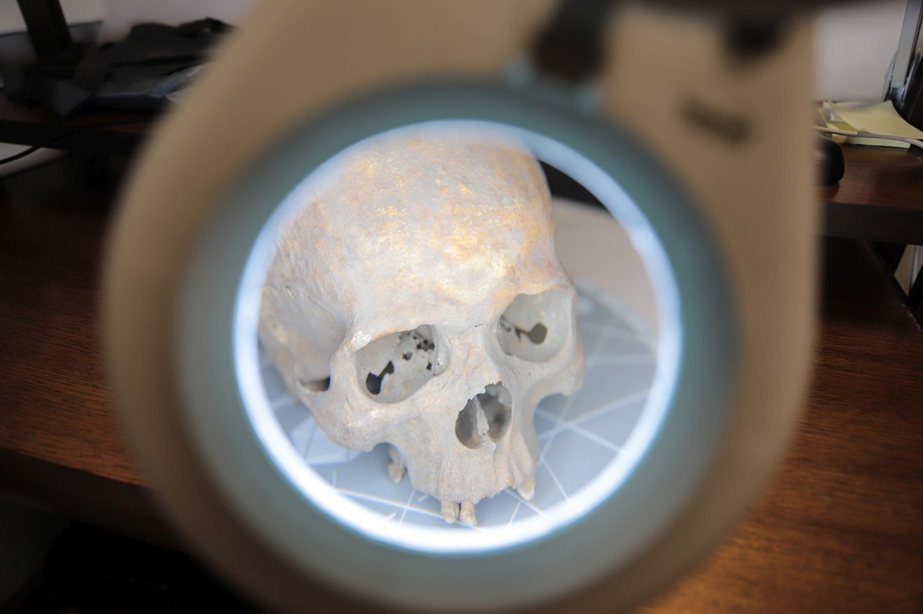 •  Fotó: Bobkó Anna/SZTE NKI