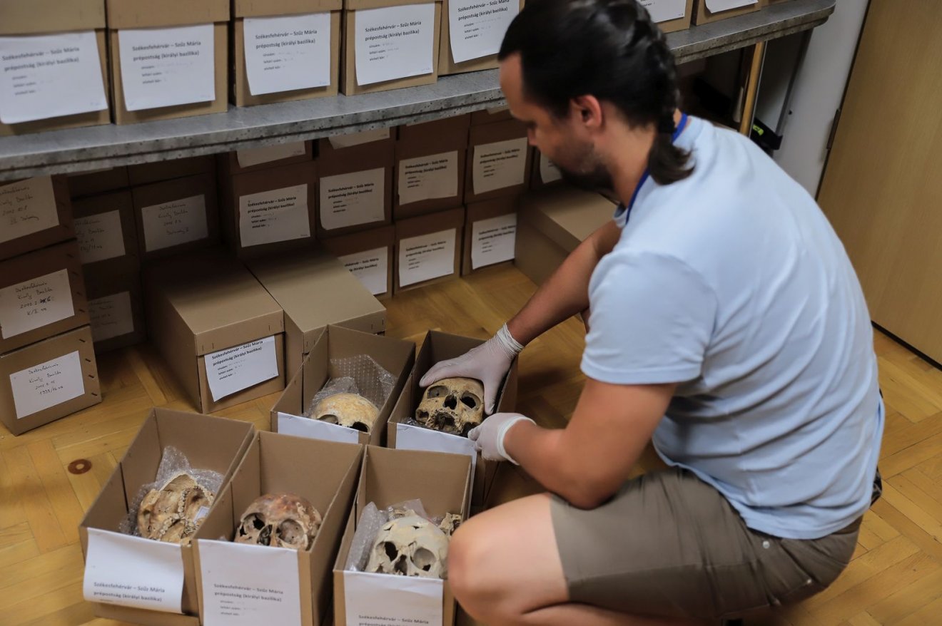 •  Fotó: Bobkó Anna/SZTE NKI