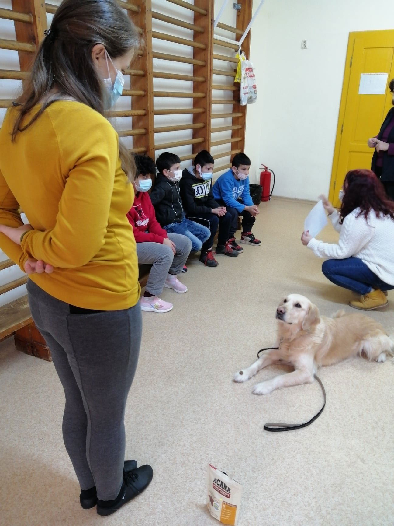 •  Fotó: Kozmutza Flóra Hallássérültek Speciális Iskolája, Kolozsvár