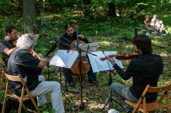 Idén is muzsikál az erdő a Partiumban