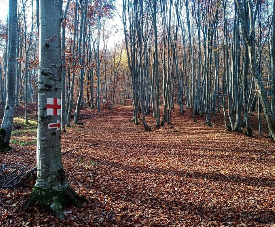 •  Fotó: Deák Szidónia