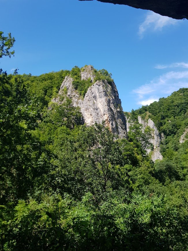 •  Fotó: Kiss Judit