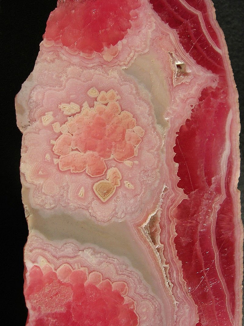 •  Fotó: Wikipédia