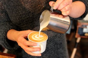 Túl a koffeinen: a kávé mint kultúra és közösség