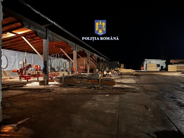 Közel 150 házkutatást tartanak, többek között erdélyi megyékben, egy illegális fakitermelésre szakosodott bűnszervezet ügyében