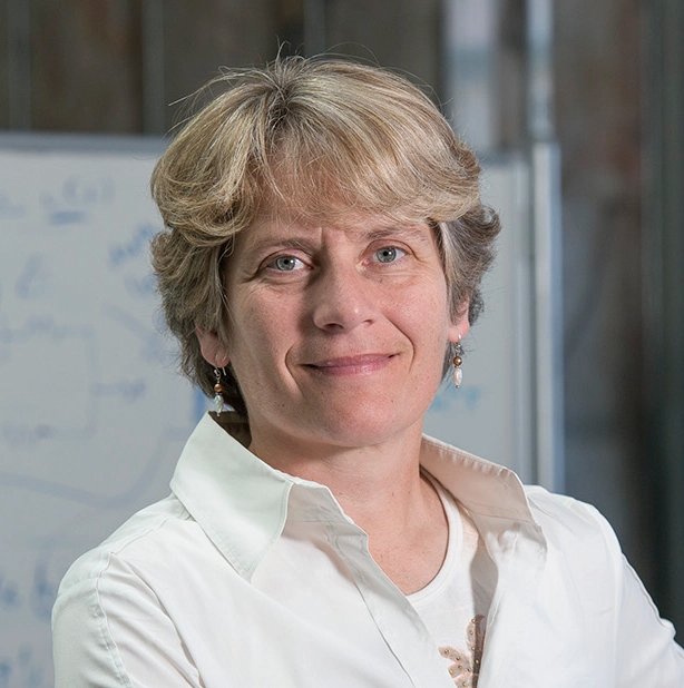 Carolyn R. Bertozzi •  Fotó: stanford.edu