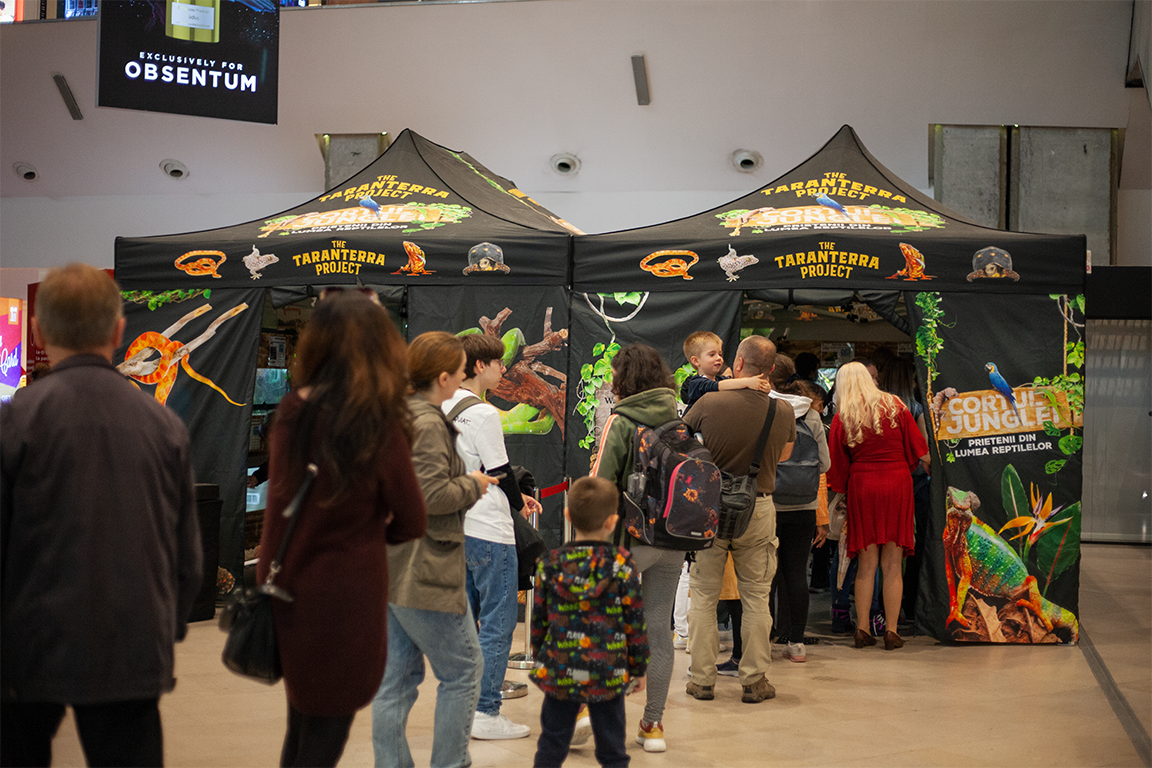 •  Fotó: Zoltán Ildikó