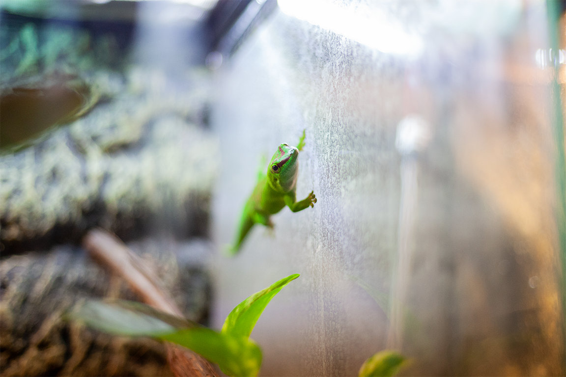 •  Fotó: Zoltán Ildikó