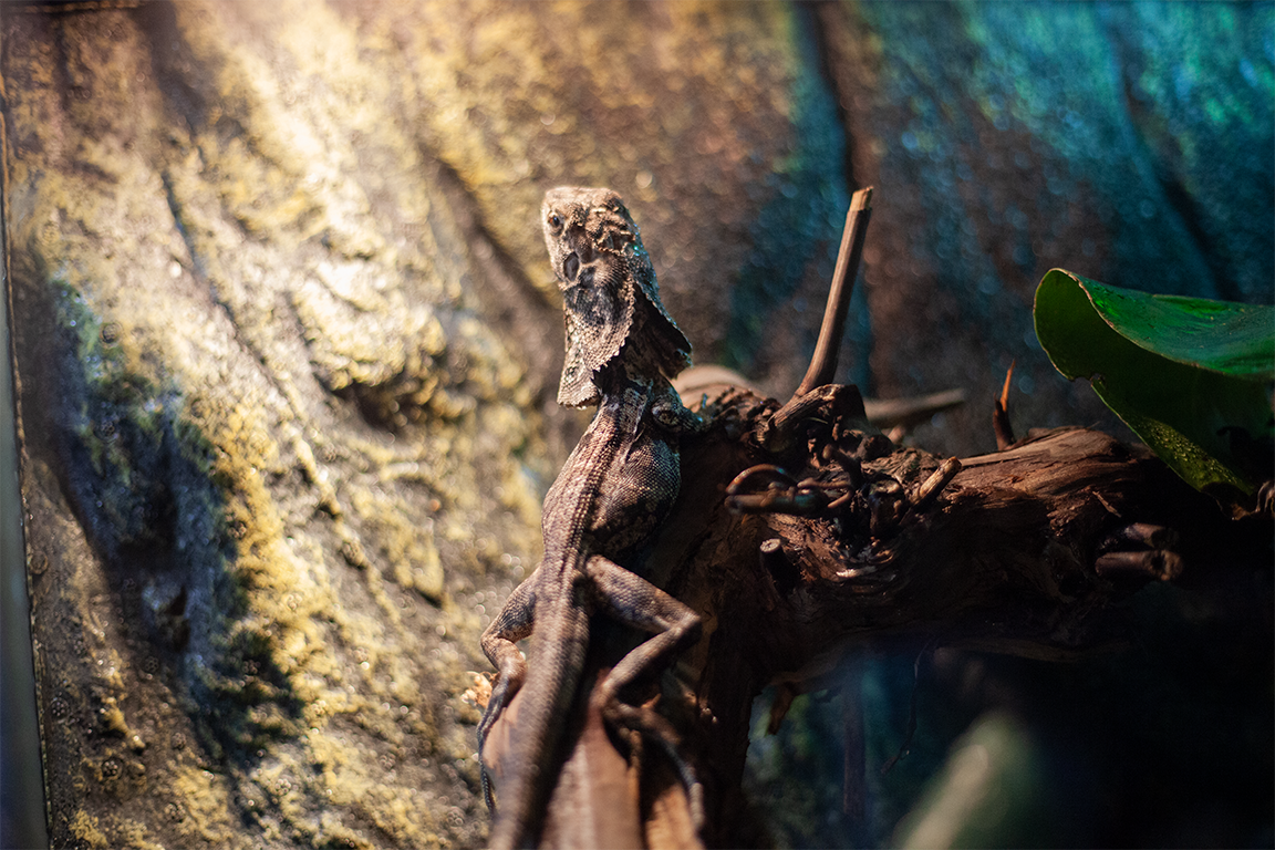 •  Fotó: Zoltán Ildikó