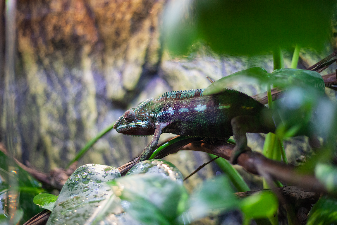 •  Fotó: Zoltán Ildikó