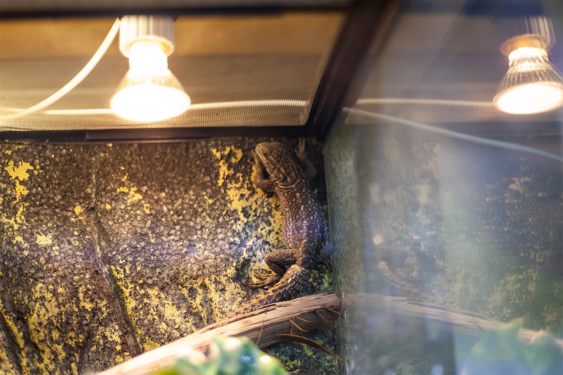 •  Fotó: Zoltán Ildikó