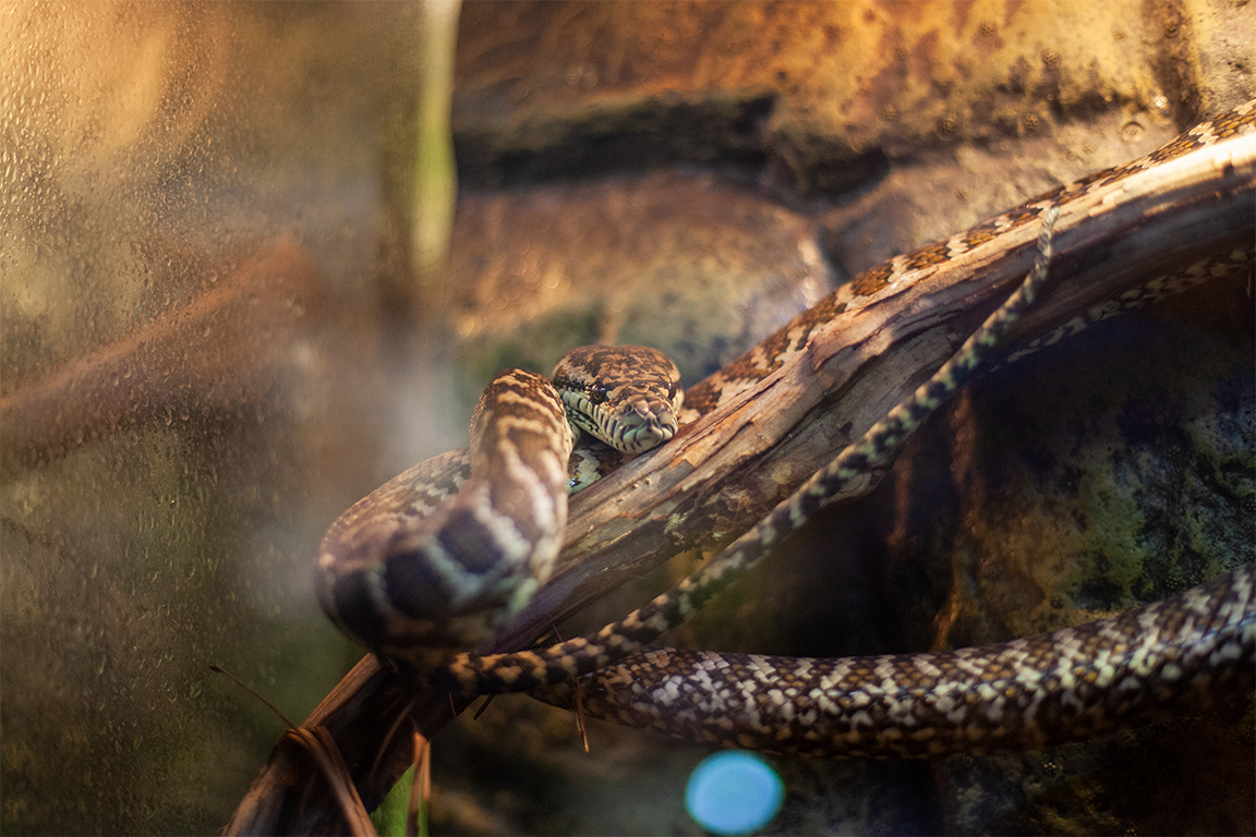 •  Fotó: Zoltán Ildikó