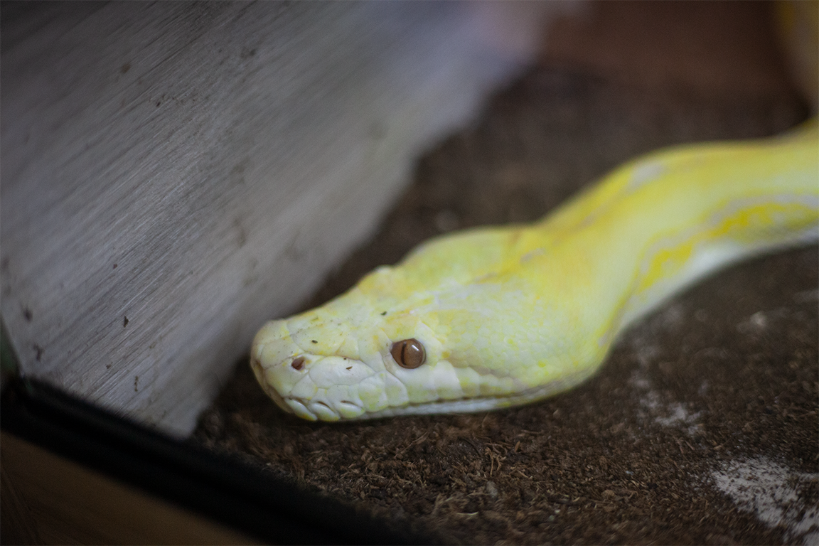 •  Fotó: Zoltán Ildikó