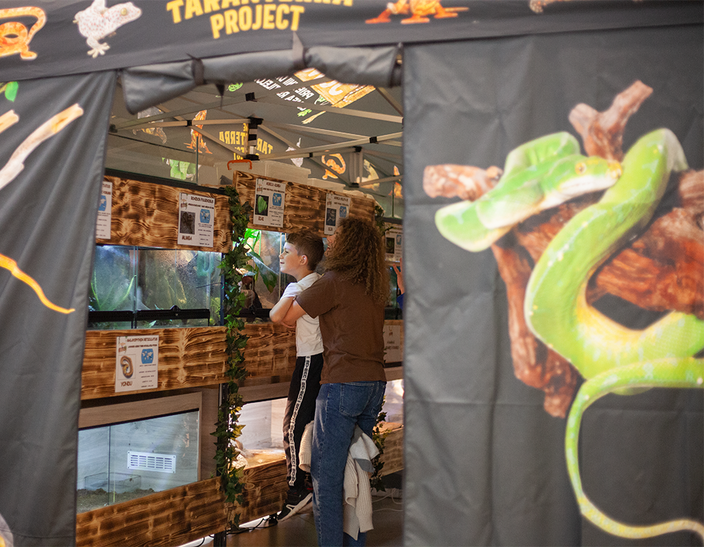 •  Fotó: Zoltán Ildikó