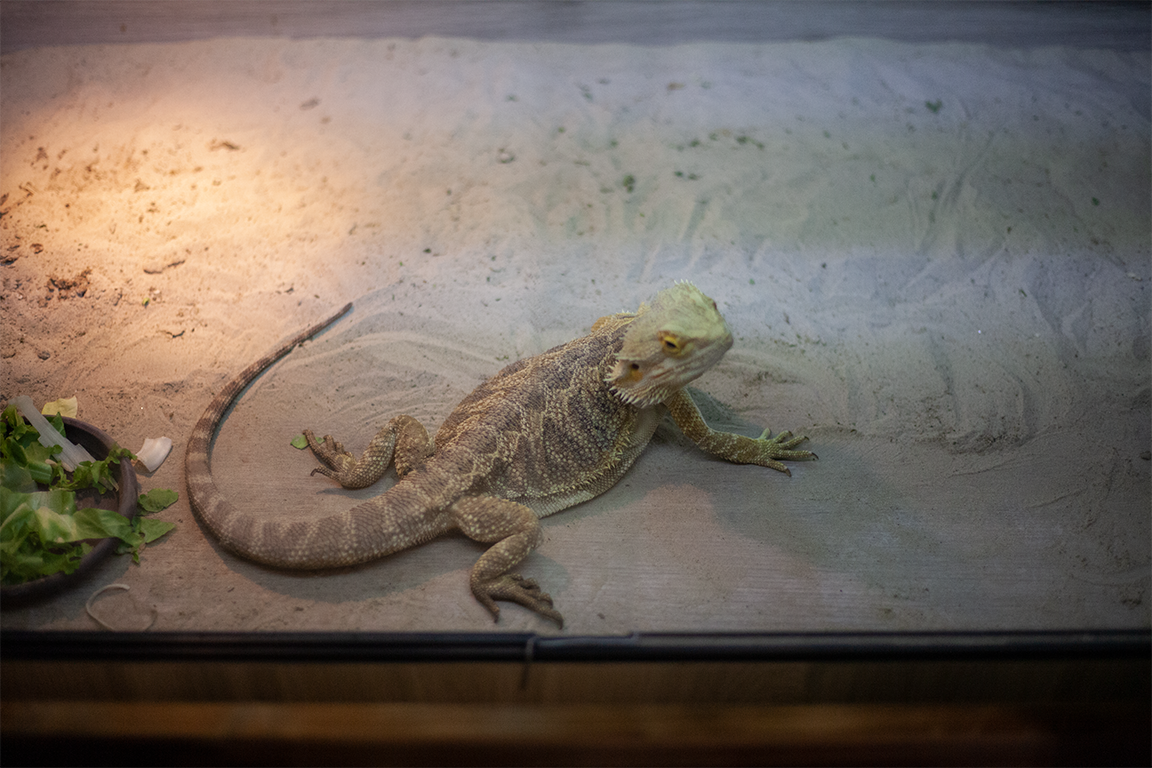 •  Fotó: Zoltán Ildikó