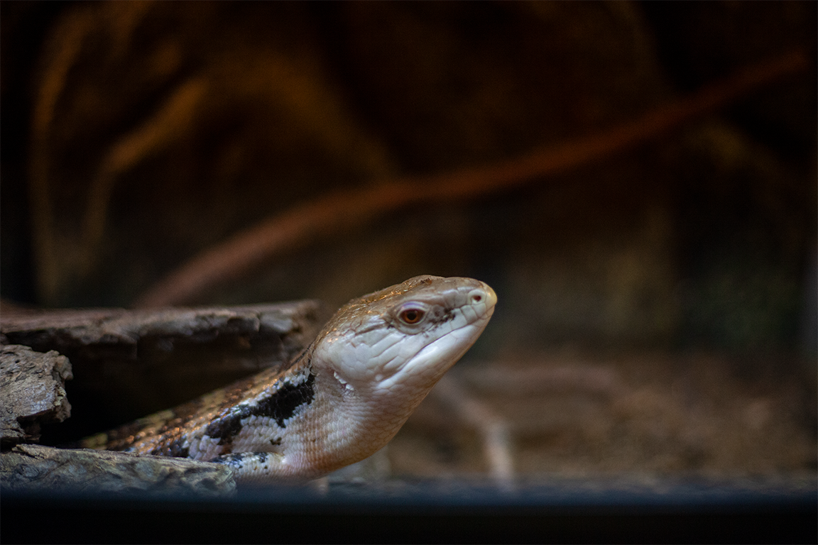 •  Fotó: Zoltán Ildikó