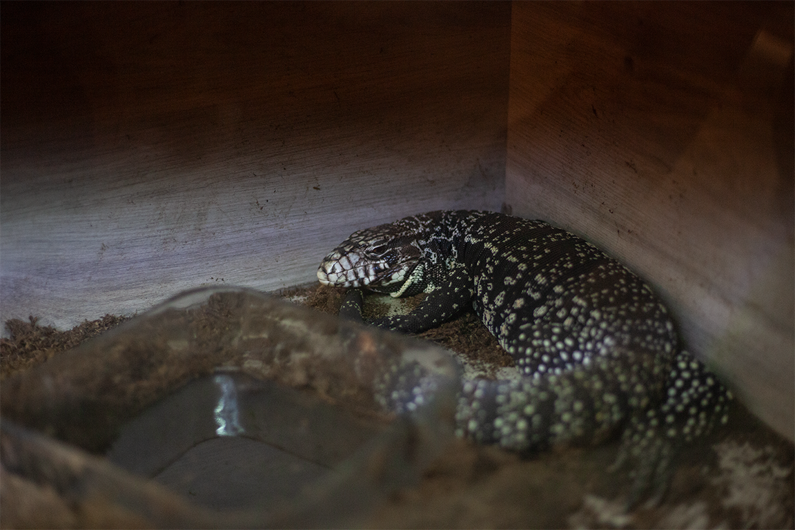 •  Fotó: Zoltán Ildikó