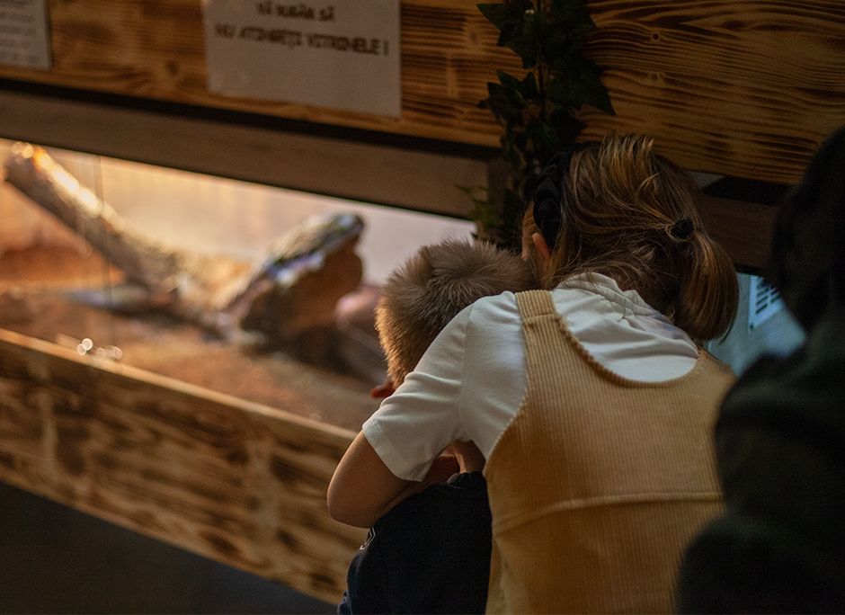 •  Fotó: Zoltán Ildikó