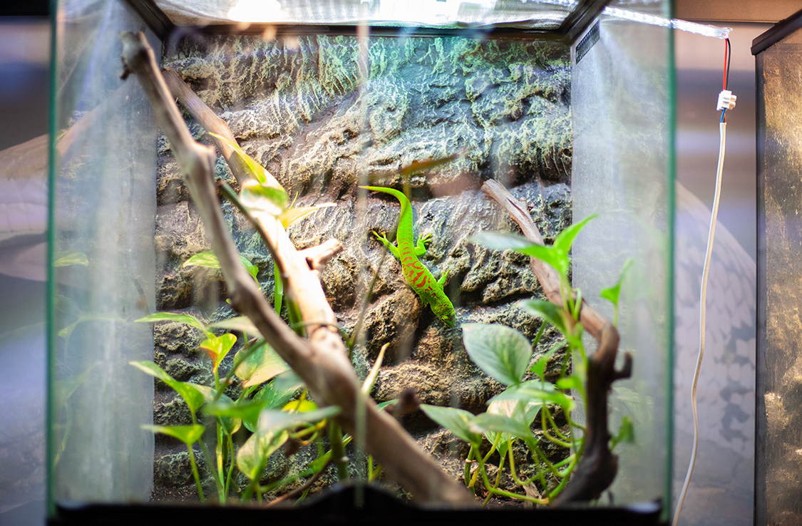 •  Fotó: Zoltán Ildikó