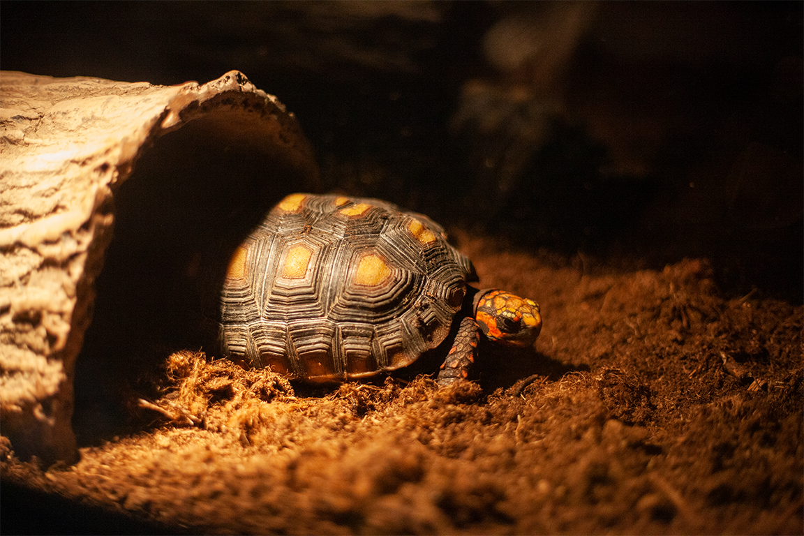 •  Fotó: Zoltán Ildikó