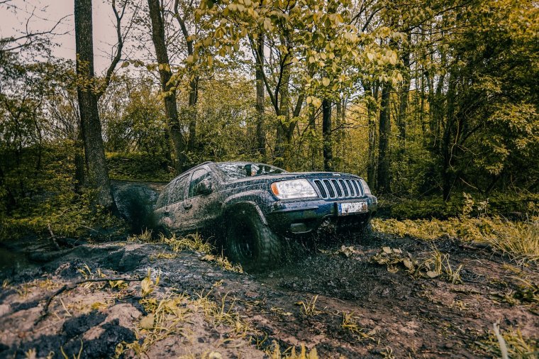 Offroadozó lengyelek miatt róttak ki 100 ezer lejnyi bírságot az Erdélyi-szigethegységben