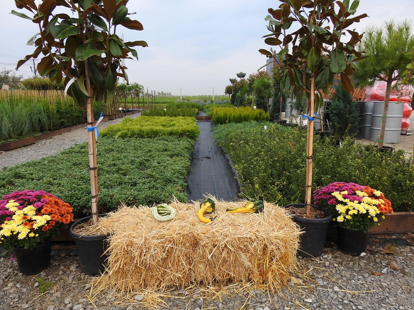 •  Fotó: Makkay József