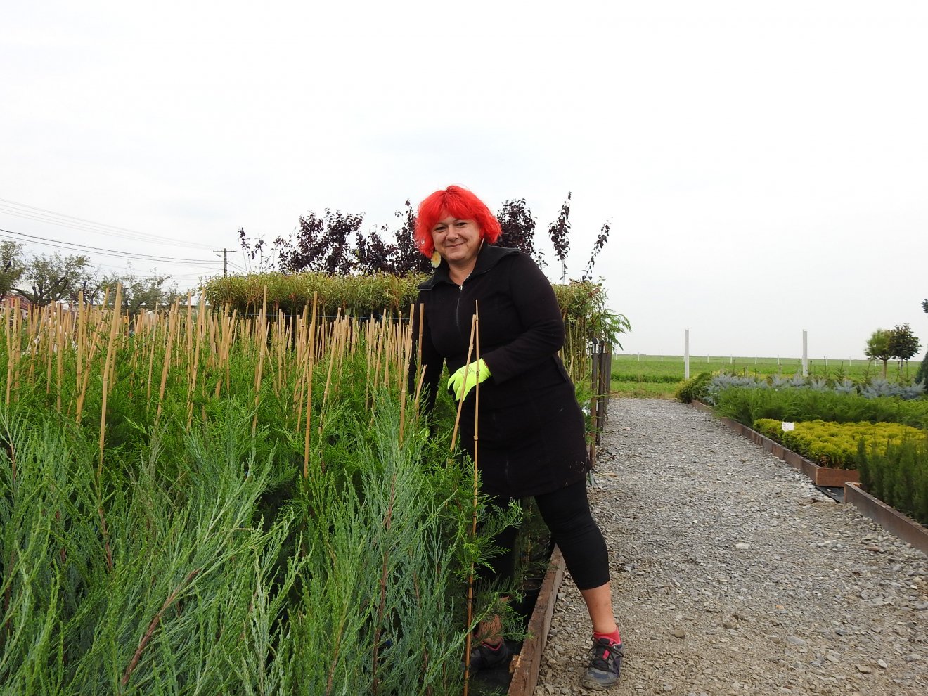 Fűzesi Ágnes kertészmérnök •  Fotó: Makkay József