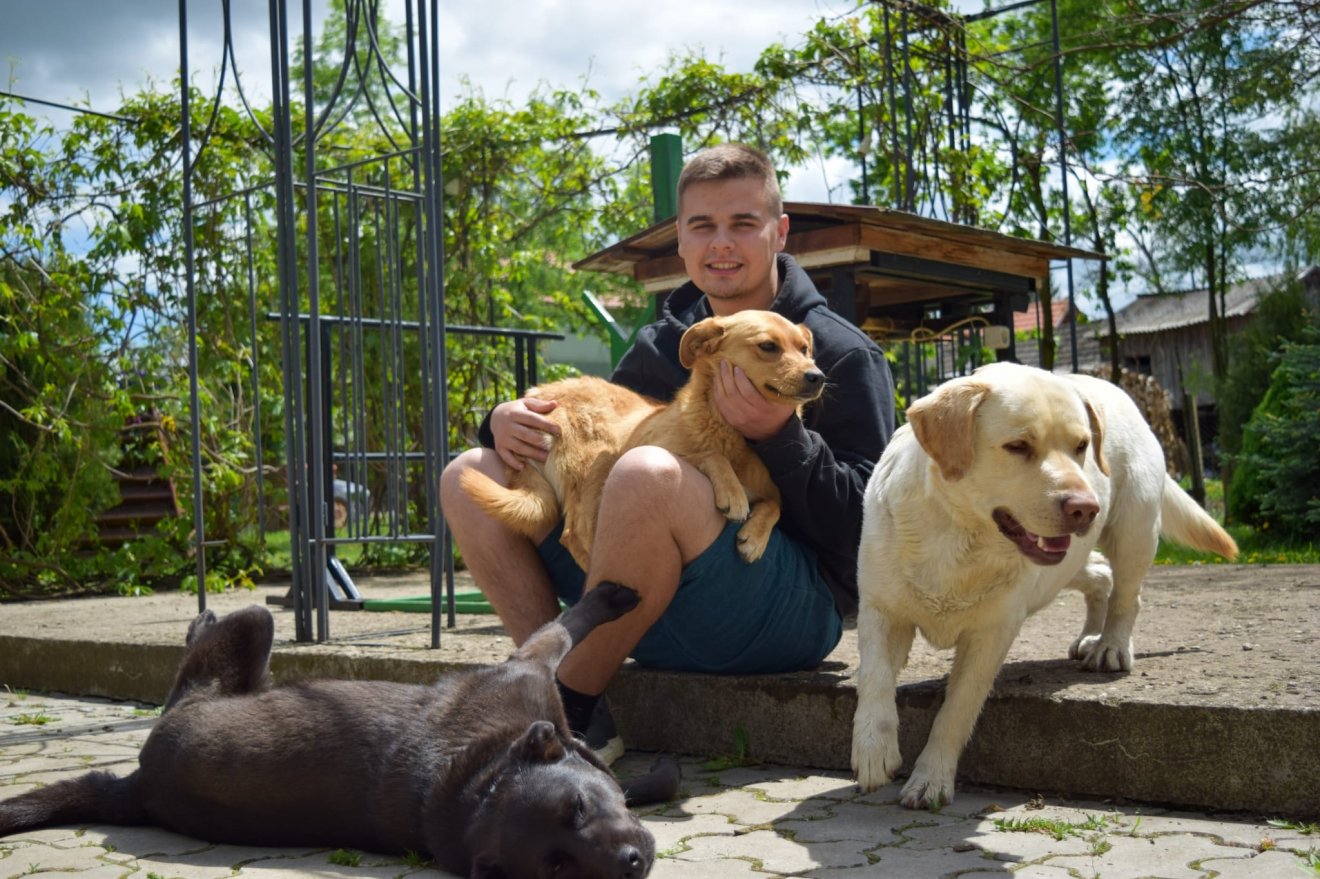 Állatokkal suttogó. A háromszéki Igyártó Nándor civilként segít bajba jutott kutyákon •  Fotó: Facebook/Igyártó Nándor
