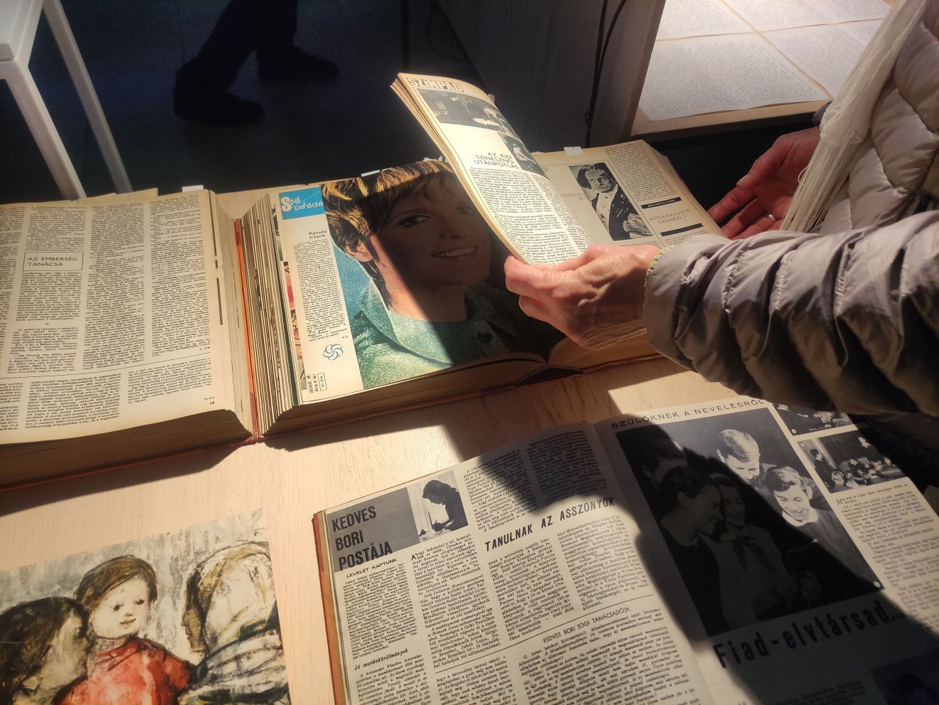 •  Fotó: Tóth Gödri Iringó