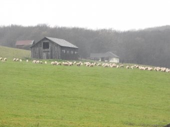 Eltűnt egy juhász Máramarossziget környékén, a hegyimentők drónt is bevetettek a keresés során