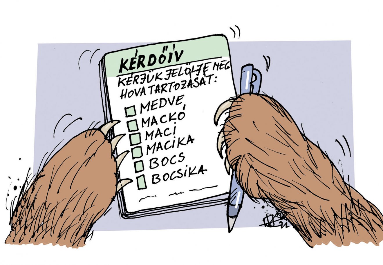 Szakszerűség •  Fotó: Könczey Elemér karikatúrája