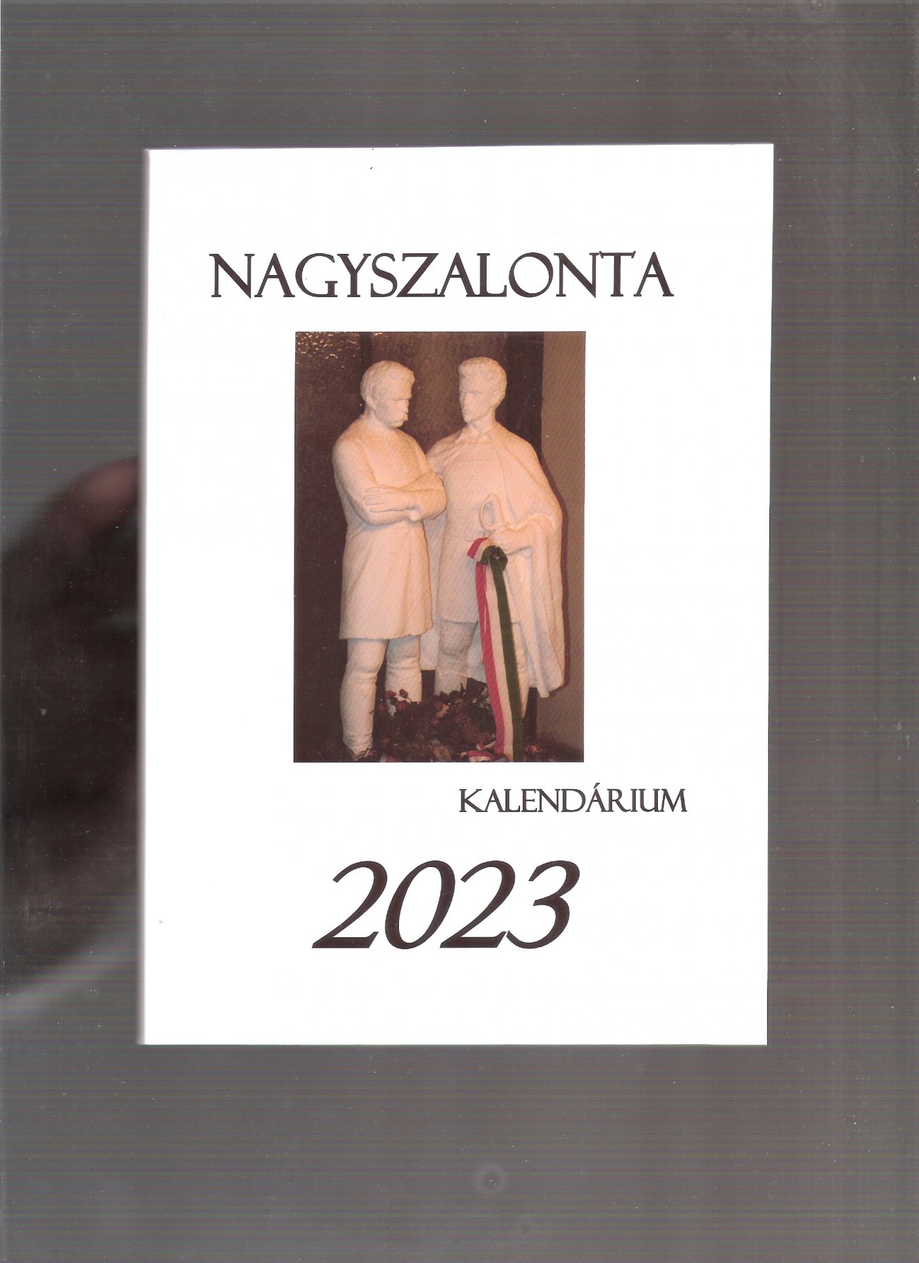 Nemcsak a szalontaiak, hanem a szülőfüldjükhöz ragaszkodó emberek számára is közöl mondanivalót a kiadvány •  Fotó: képernyőmentés