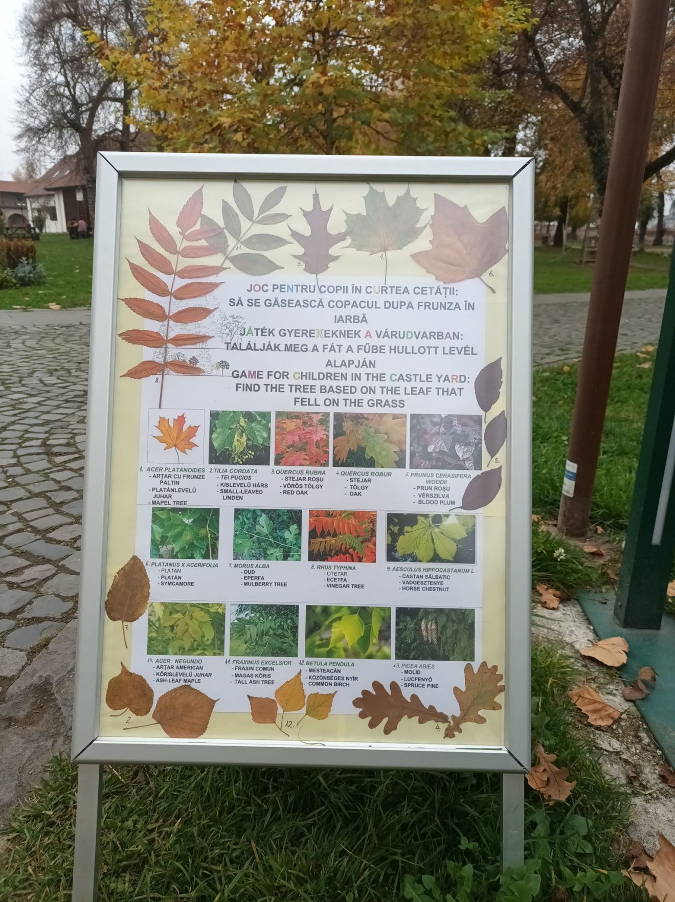 •  Fotó: Jani Rozália