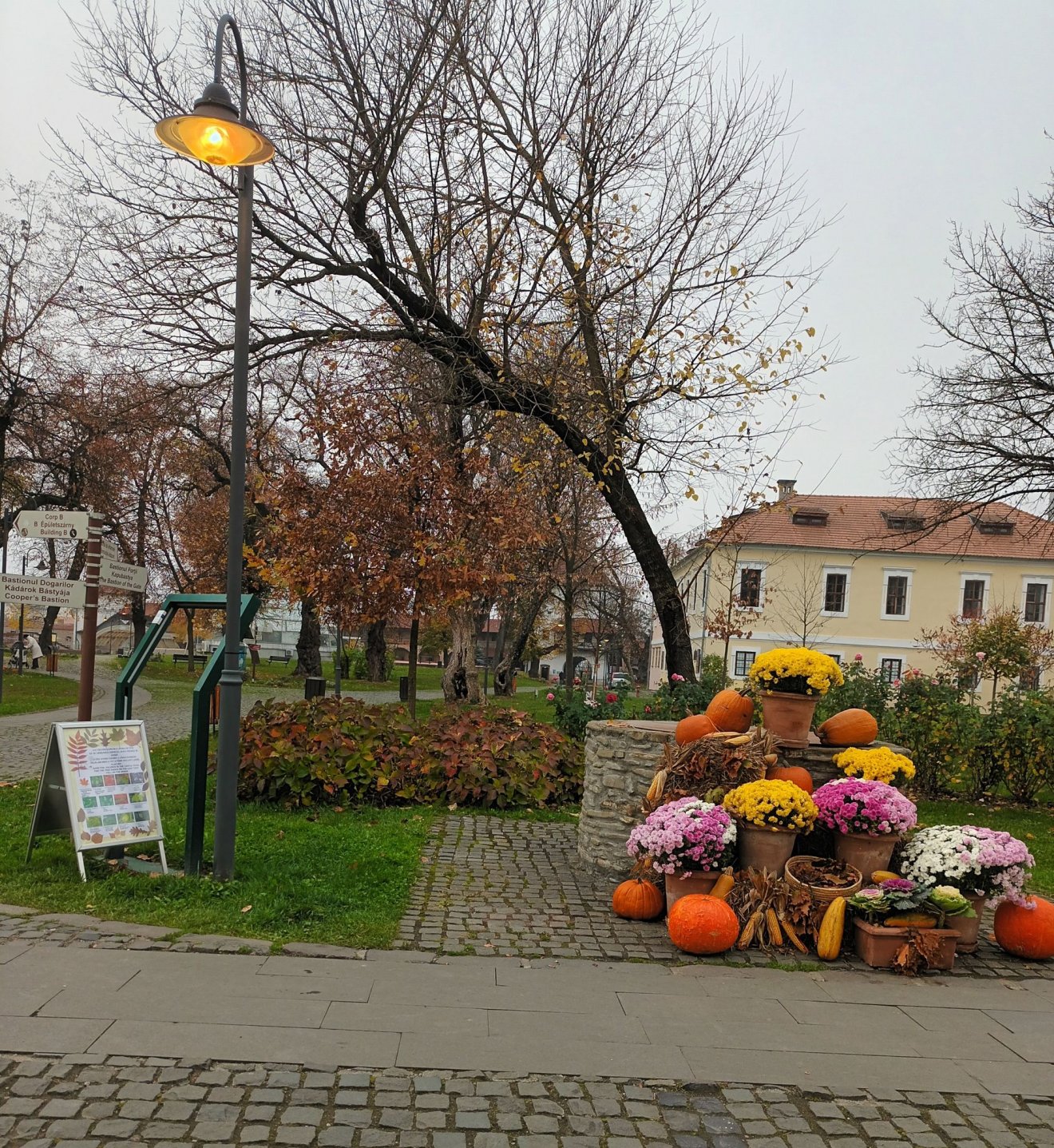 •  Fotó: Jani Rozália