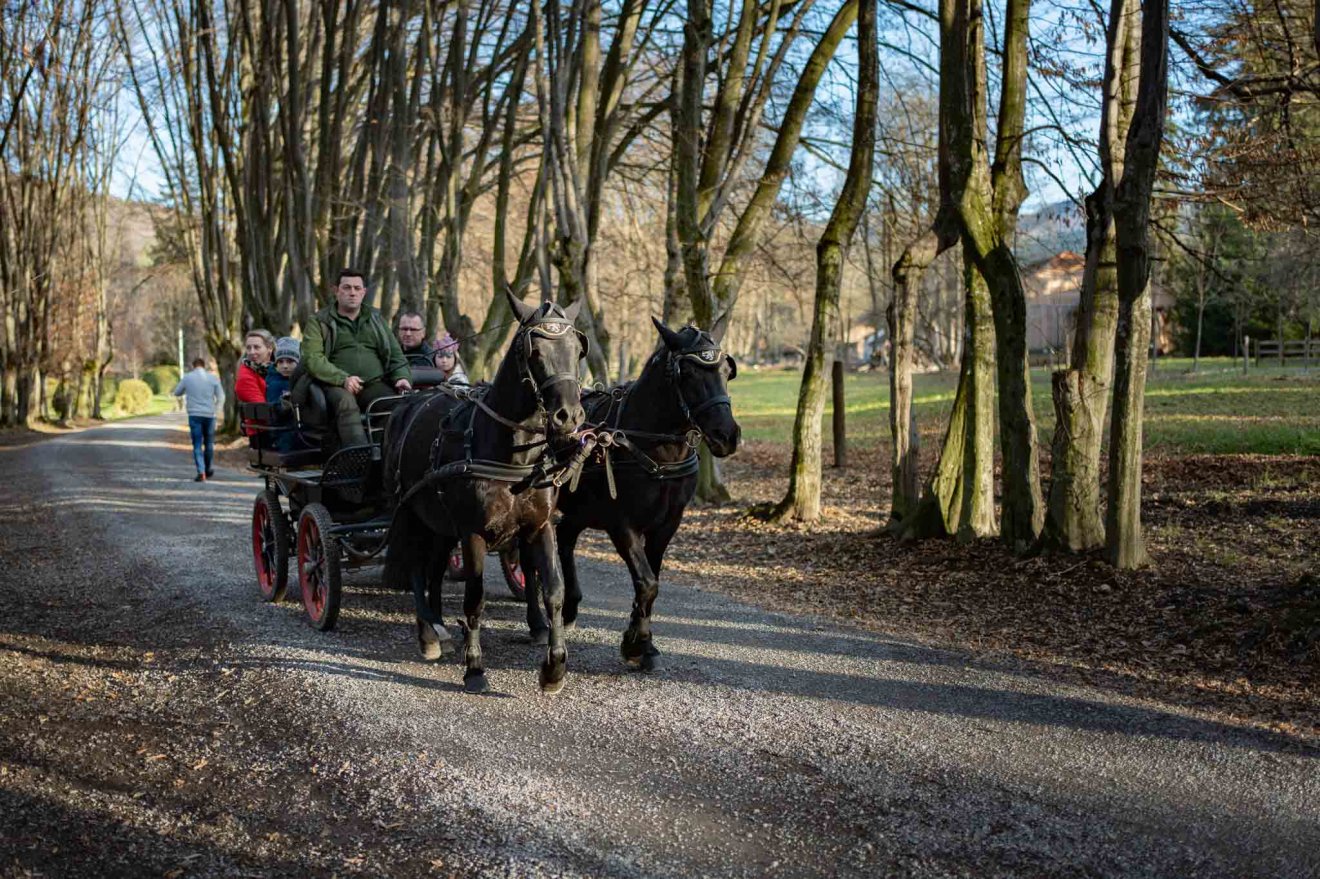 •  Fotó: Kastély Erdélyben
