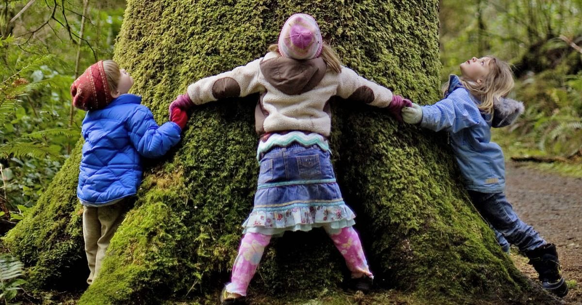 •  Fotó: erdeiprogramok.hu