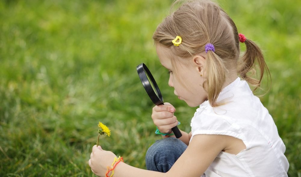 A közvetlen környezetünkben található növényekről tudhatnak meg információkat a kolozsvári kisiskolások •  Fotó: erdeiprogramok.hu