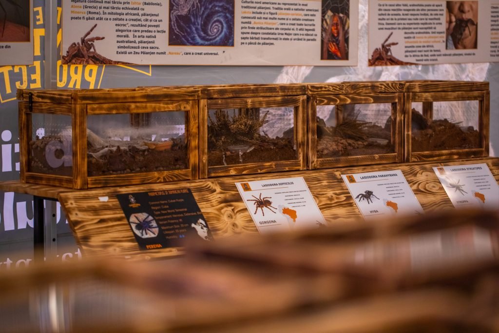 Az egzotikus ízeltlábúak életmódjáról is megtudhatnak információkat az érdeklődők • Fotó: iuliusmall.com