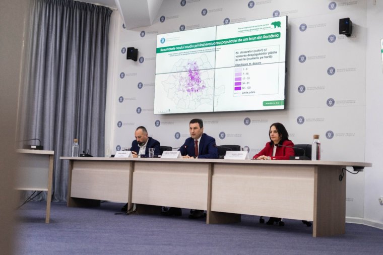 Szigorúbb intézkedéseket hoz a környezetvédelmi tárca a medvekárok megelőzésére, több állat kilövésére adnának engedélyt