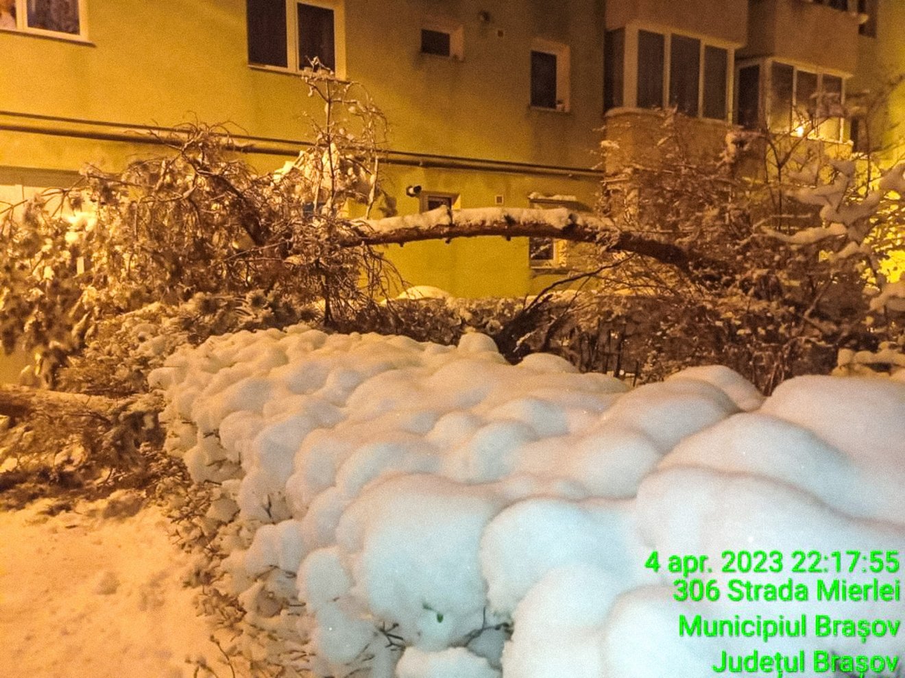 •  Fotó: Facebook/Primăria Municipiului Braşov