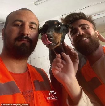 Egy hónappal a földrengés után élve került elő a romok alól egy kutya kölykeivel együtt Törökországban