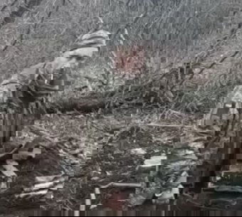 „Dicsőség Ukrajnának!” – kiáltja az ukrán hadifogoly, mielőtt az orosz katonák agyonlövik