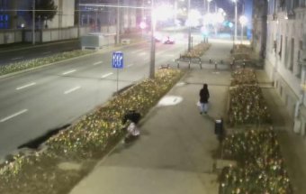 Tövestől akart tulipánokat lopni két bukaresti nő, börtönbüntetést kaphatnak